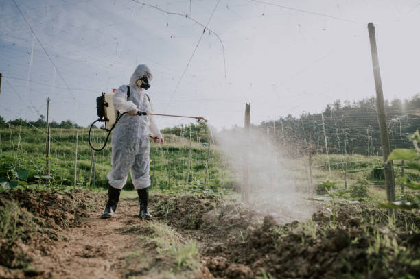 Best Best Pest Control Companies  in South Connellsville, PA