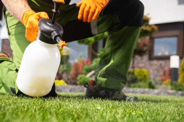 Trusted South Connellsville, PA Pest Control Experts