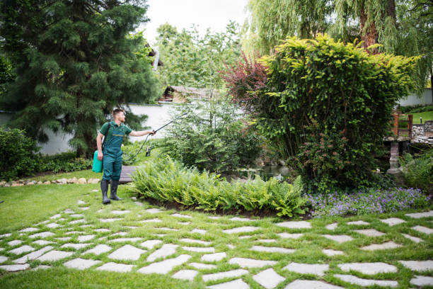 Best Mosquito Control Services  in South Connellsville, PA