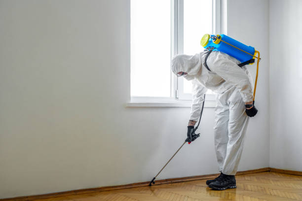 Best Best Pest Control Companies  in South Connellsville, PA