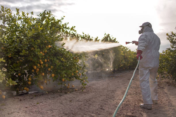 Best Pest Control Near Me  in South Connellsville, PA