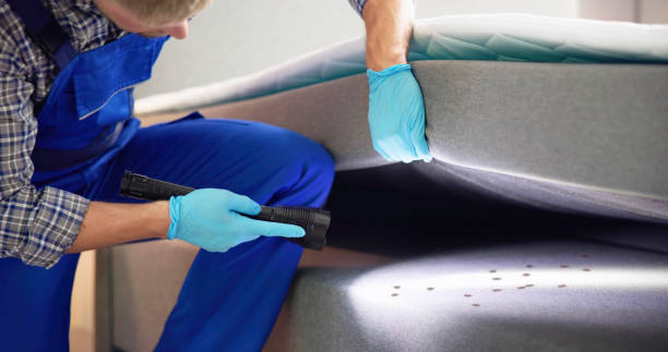 Best Rat Extermination Near Me  in South Connellsville, PA