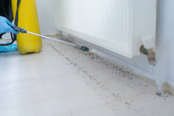 Best Pest Control Near Me in South Connellsville, PA