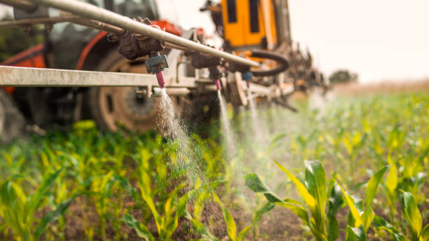Best Wildlife Control Services  in South Connellsville, PA